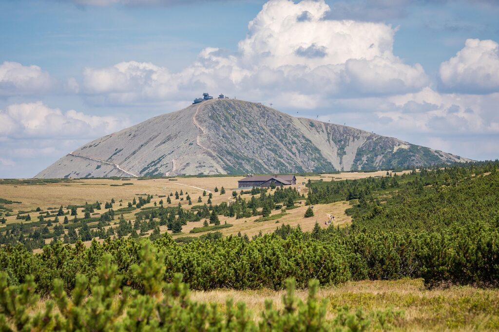 Śnieżka